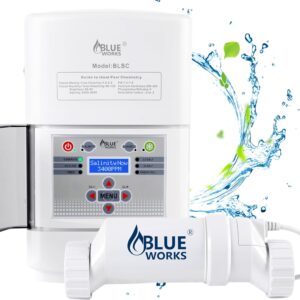 blue works saltwater pool system review