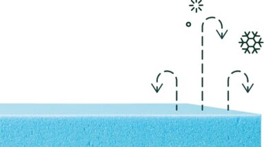 zinus lottie bed frame review