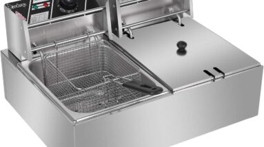 12l countertop dual tank fryer review