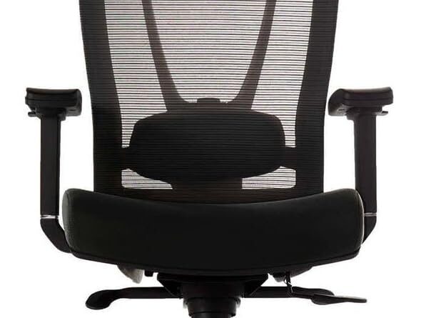 autonomous ergonomic office chair review
