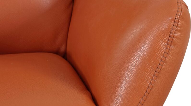 Blackjack Furniture Skyline Collection Modern Italian Leather Top Grain Swivel Lounge Chair Orange Review 1 blackjack furniture skyline collection modern italian leather top grain swivel lounge chair orange review