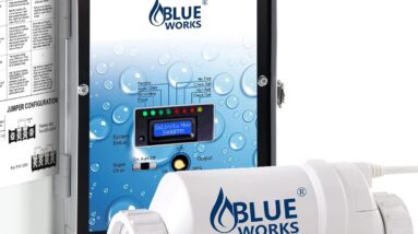 BLUE WORKS Salt Chlorine Generator Review 2 blue works salt chlorine generator review 1