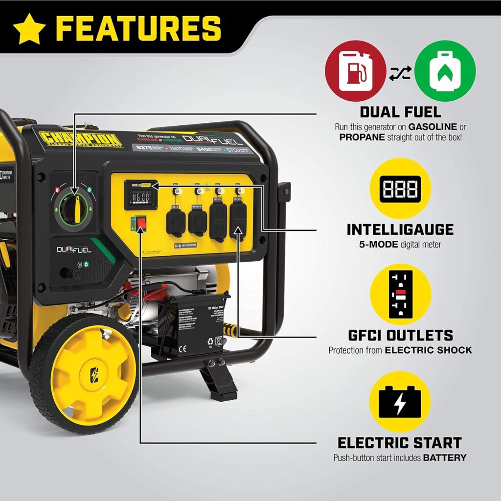 Champion Power Equipment 200965 4375/3500-Watt Dual Fuel Portable Generator, RV Ready Champion Power Equipment 200965 4375/3500-Watt Dual Fuel Portable Generator, RV Ready