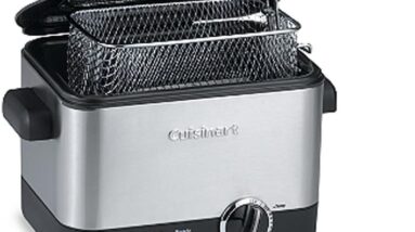 cuisinart mini deep fryer review