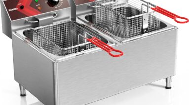 eggkitpo deep fryer review