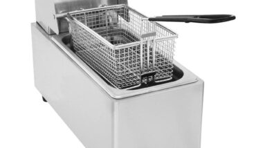 eurodib sfe01860 240 fryer review