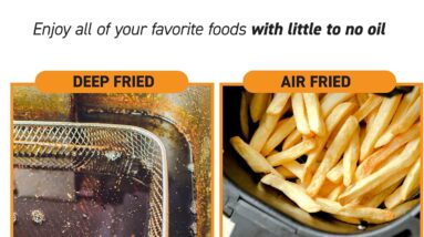 Gourmia Air Fryer Black (8 Quart) Review 8 gourmia air fryer black 8 quart review