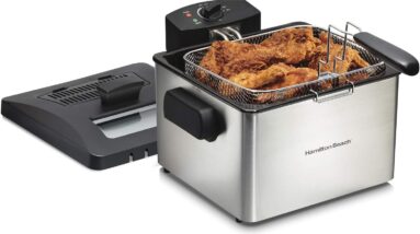 hamilton beach 35042 deep fryer review