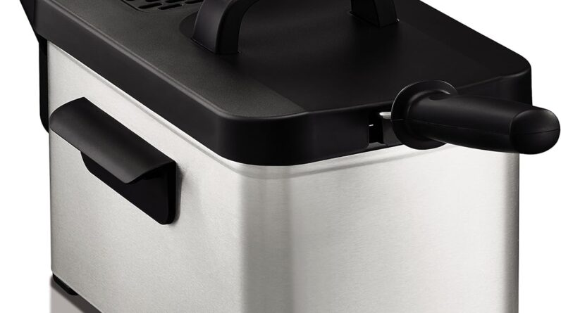 Krups KJ33 Easy Pro Deep-Fryer Review 1 krups kj33 easy pro deep fryer review