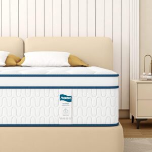 maxzzz 12 inch queen mattress review