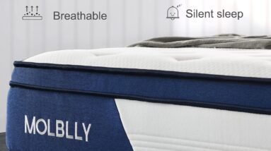 Molblly Queen Mattress Review 4 molblly queen mattress review