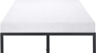 olee sleep 10 inch aquarius memory foam mattress review