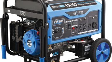 pulsar pg10000b16 portable generator review