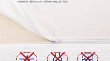 Queen Mattress Review 14 queen mattress review