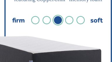 sealy memory foam bed in a box review