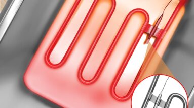 swinod deep fryer review