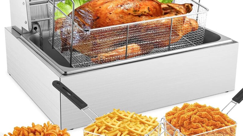 TANGME Commercial Deep Fryer Review 1 tangme commercial deep fryer review