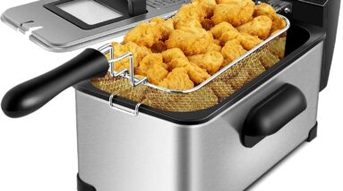 topment 1700w stainless deep dryer review