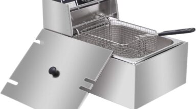 Winado Electric Deep Fryer Review 16 winado electric deep fryer review