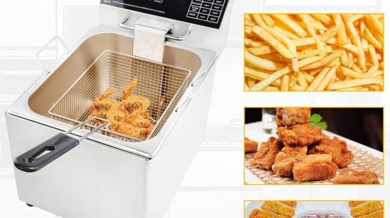 YOOYIST Commercial Electric Deep Fryer Review 1 yooyist commercial electric deep fryer review