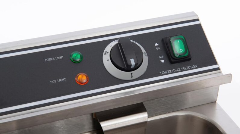 FSE DF-12L/2 Electric Countertop Deep Fryer Review 1 fse df 12l2 electric countertop deep fryer review