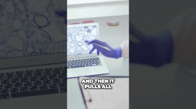 Uncover hidden treasures on Google, Amazon, YouTube, and G-Trends with KWESTIFY Review!