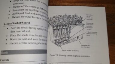 GOOD VALUE?  Beginner's guide to successful container gardening unboxing review