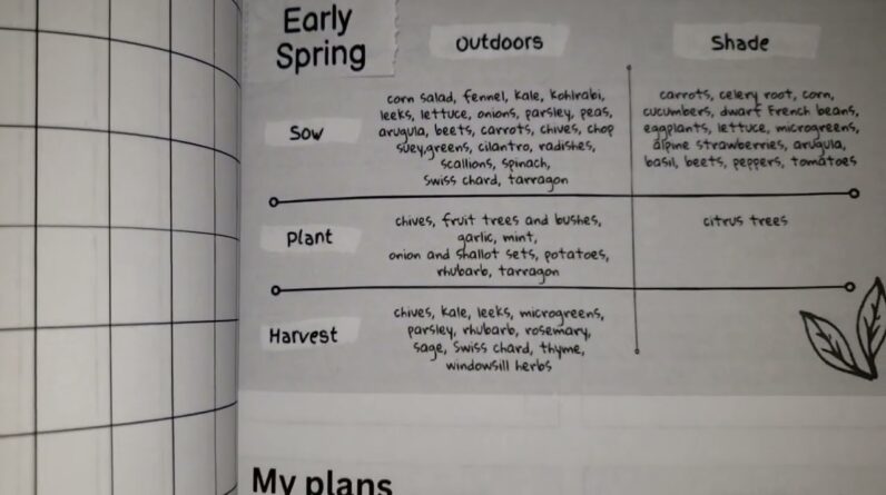 GOOD VALUE? My guided permaculture garden planner log book and journal review unboxing 1 GOOD VALUE?  My guided permaculture garden planner log book and journal review unboxing