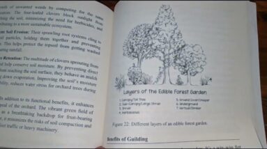 BEGINNER FRIENDLY?  Beginner's guide to growing fruit trees fast and easy review unboxing