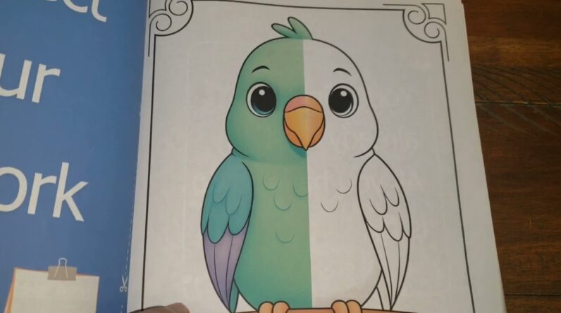 INTERACTIVE PAGES? Color The Missing Half Coloring Book Review Dementia Activities for Seniors