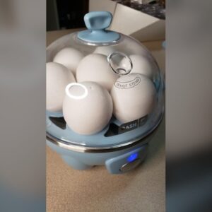 1 BUTTON & a BONUS Egg !!! Review Unboxing DASH Demo Test