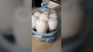 1 BUTTON & a BONUS Egg !!! Review Unboxing DASH Demo Test