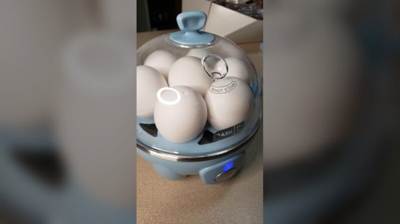 1 BUTTON & a BONUS Egg !!! Review Unboxing DASH Demo Test