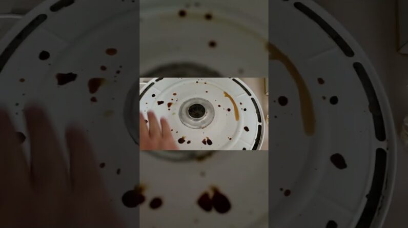 what I think NOW!! Bonus Rainbow Trays After Time?? Review Unboxing Nesco Demo Test