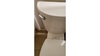 American Standard 2-Piece Elongated Pressure Assisted Toilet Review Unboxing American Standard Demo
