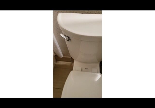 American Standard 2-Piece Elongated Pressure Assisted Toilet Review Unboxing American Standard Demo