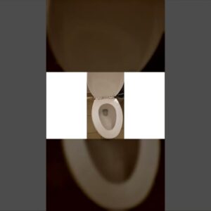 American Standard 2-Piece Elongated Pressure Assisted Toilet Review Unboxing American Standard Demo
