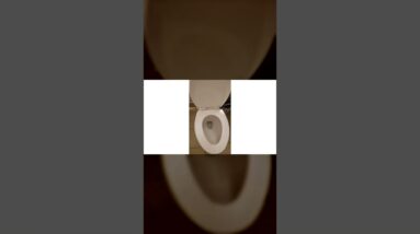 American Standard 2-Piece Elongated Pressure Assisted Toilet Review Unboxing American Standard Demo