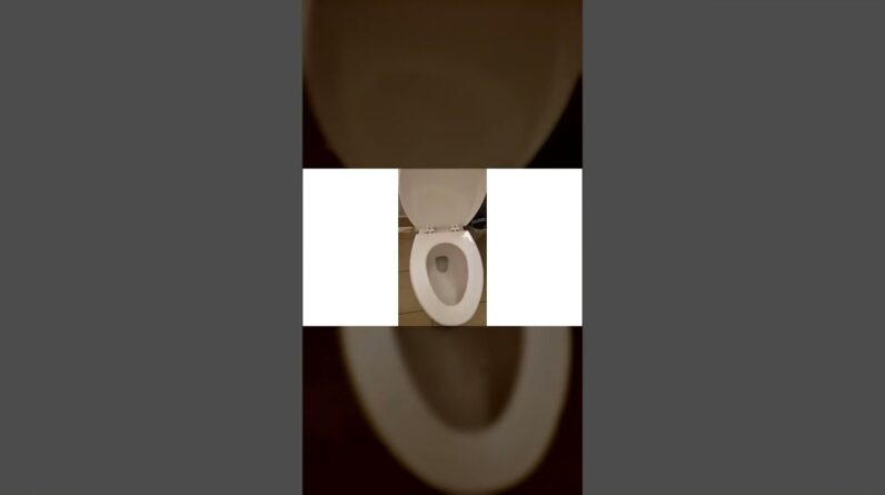American Standard 2-Piece Elongated Pressure Assisted Toilet Review Unboxing American Standard Demo
