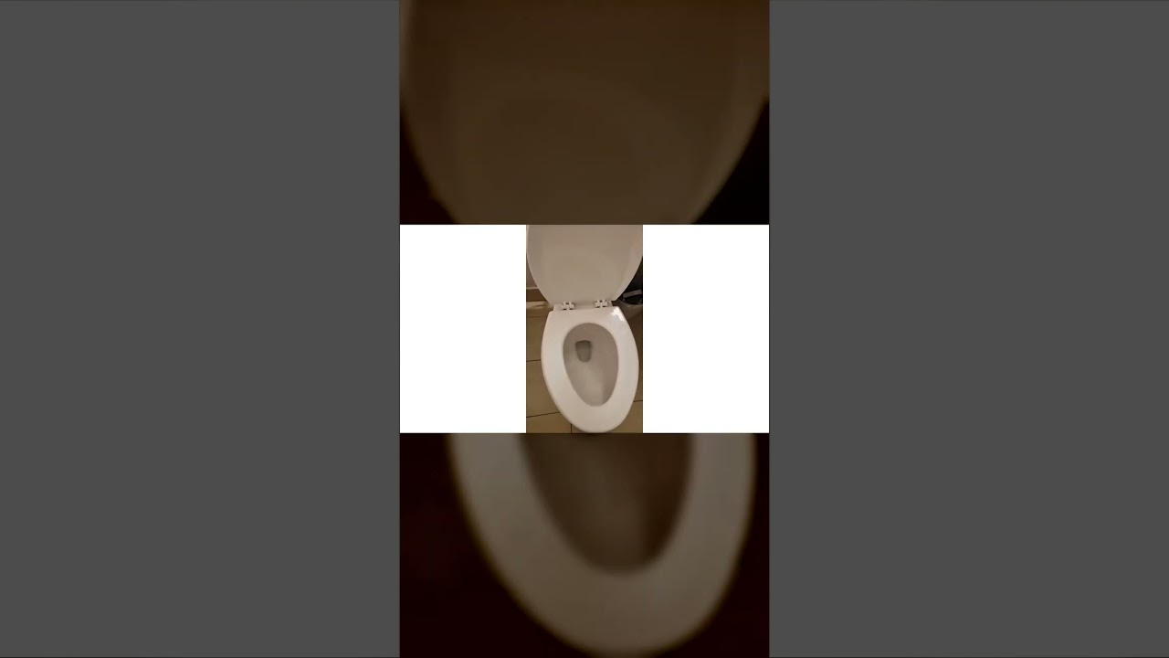 American Standard 2-Piece Elongated Pressure Assisted Toilet Review Unboxing American Standard Demo