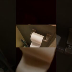 NEAT TRICK - Review of Moen Brushed Nickel Toilet Paper Hold Review Unboxing Moen Demo Test