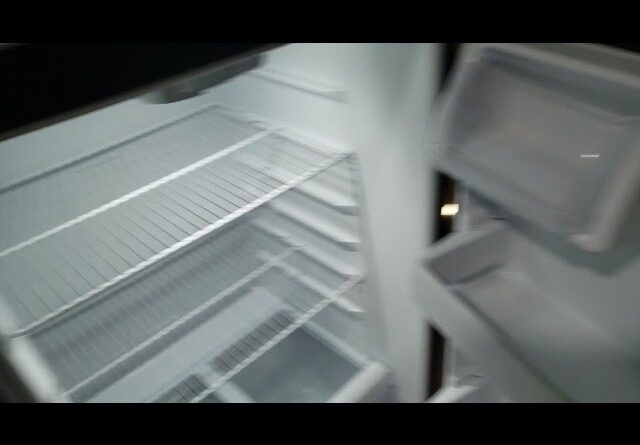 AMPLE Space? Full Review of Refrigerator with Top Freezer Review Unboxing Profile Demo Test
