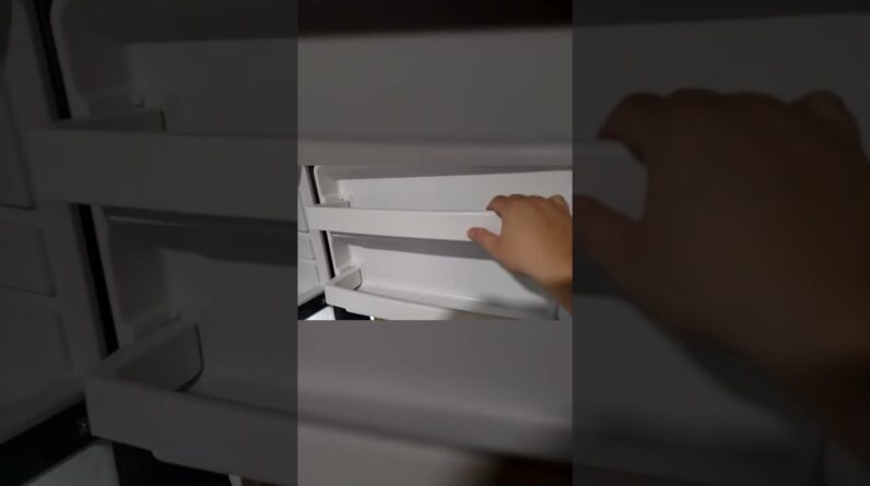 AMPLE Space? Full Review of Refrigerator with Top Freezer Review Unboxing Profile Demo Test