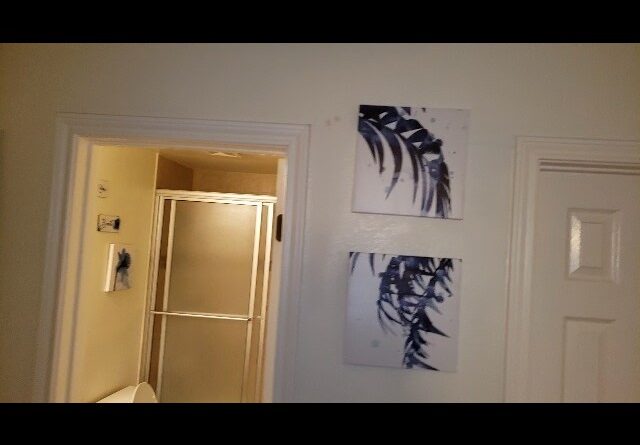 EXPAND - Review of Blue Palm Leaf Canvas Wall Art Review Unboxing TAR TAR STUDIO Demo Test
