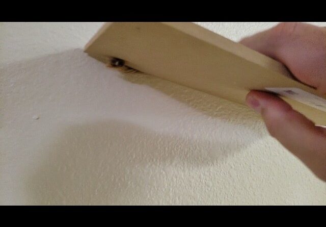 1/4 INCH - Review of  No Smoking Thank You Sign for Home Review Unboxing SARAH JOY'S Demo Test