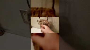 STATIONARY - Review of a Moen Bathroom-Hardware Nickel Review Unboxing Moen Demo Test