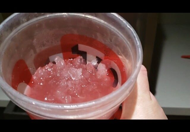 PELLET NUGGET Review of Manitowoc Ice Maker Water Dispenser Review Unboxing Manitowoc Demo Test