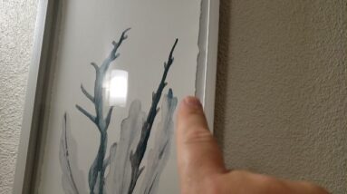 TEXTURE - Review of Parvez Taj Blue Coral Framed Print Review Unboxing Parvez Taj Demo Test