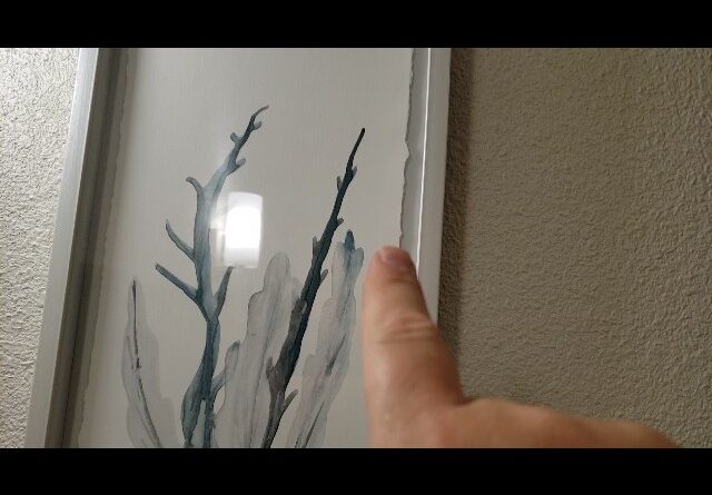 TEXTURE - Review of Parvez Taj Blue Coral Framed Print Review Unboxing Parvez Taj Demo Test