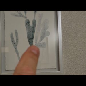 TEXTURE - Review of Parvez Taj Blue Staghorn Framed Print Review Unboxing Parvez Taj Demo Test